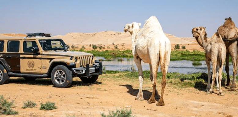 الإطاحة بـ10 مواطنين و4 سودانيين ارتكبوا مخالفات رعي