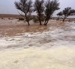 لقطات لجريان السيول بعد الأمطار الغزيرة في القصيم