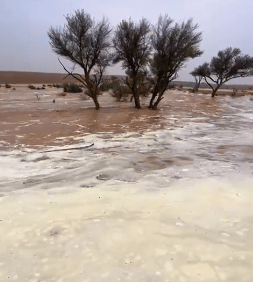 لقطات لجريان السيول بعد الأمطار الغزيرة في القصيم