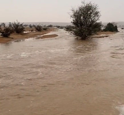 مشاهد لجريان وتدفق السيول شرق تمير