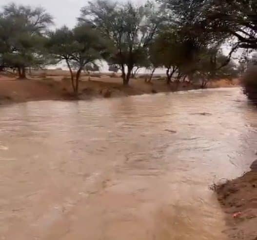 لقطات لجريان شعيب الطيري شمال الرياض
