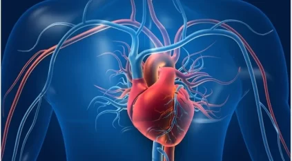 اختبار مجاني على الإنترنت يحدد العمر الفعلي لعضلة القلب