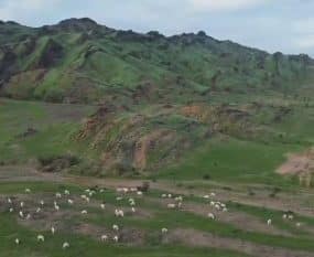 باكستانيون يتفاعلون على مقطع يوثق جمال جبال مكة بلونها الأخضر