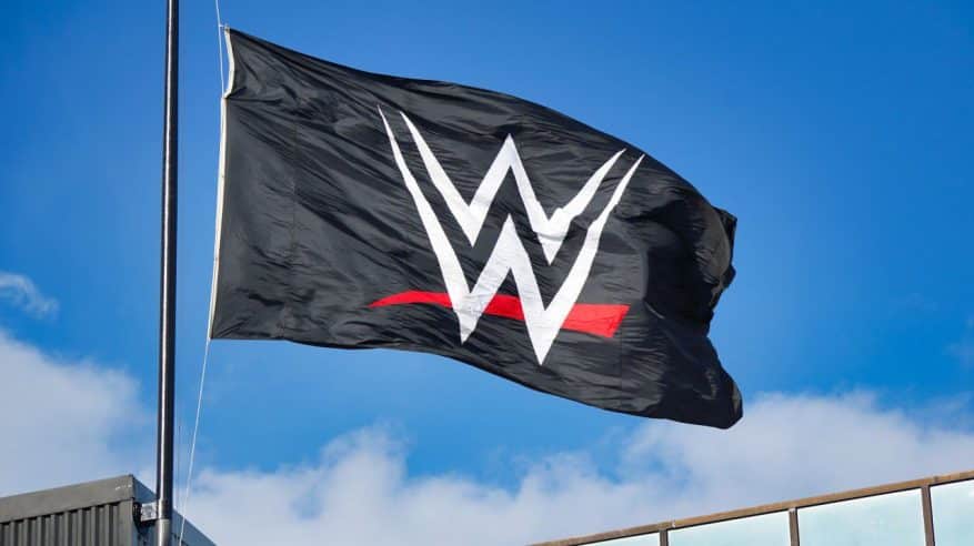 على ذمة ديلي ميل: صندوق الاستثمارات العامة قد يشتري WWE