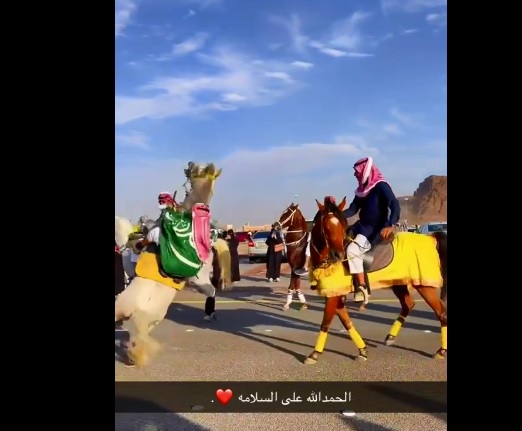 لحظة سقوط شاب من فوق جواده أثناء الاحتفال بيوم التأسيس