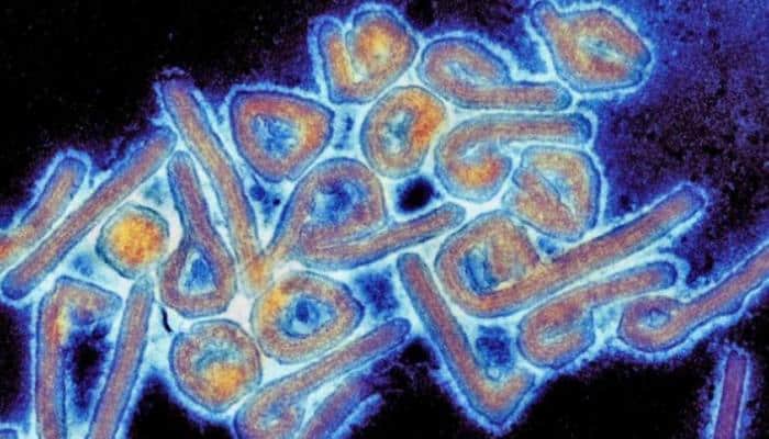 فيروس ماربورغ الفتاك يثير قلق الصحة العالمية