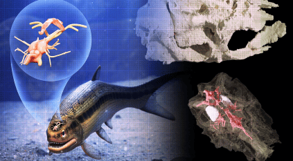العثور على أقدم سمكة بالتاريخ عمرها 319 مليون سنة