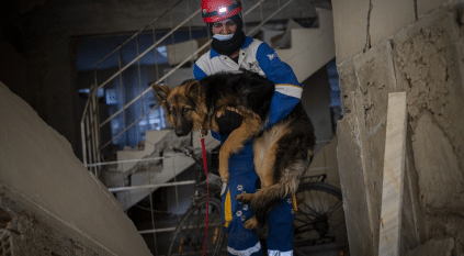 لقطات لمتطوعين يقنعون كلبًا بمغادرة جثة صاحبه تحت الأنقاض