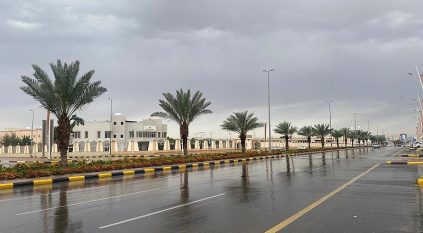 أمطار رعدية وبرد وسيول ورياح نشطة على 5 مناطق