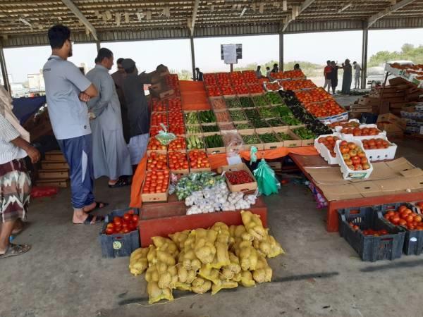 ارتفاع في أسعار الطماطم والبصل بنسبة 50 % بالدمام
