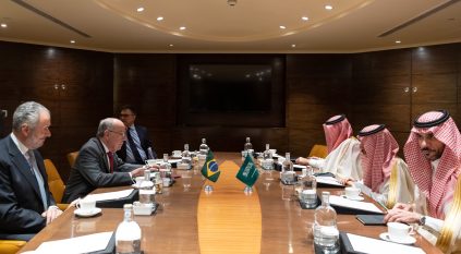 وزير الخارجية يبحث مع نظيريه البرازيلي والهندي تعزيز العلاقات