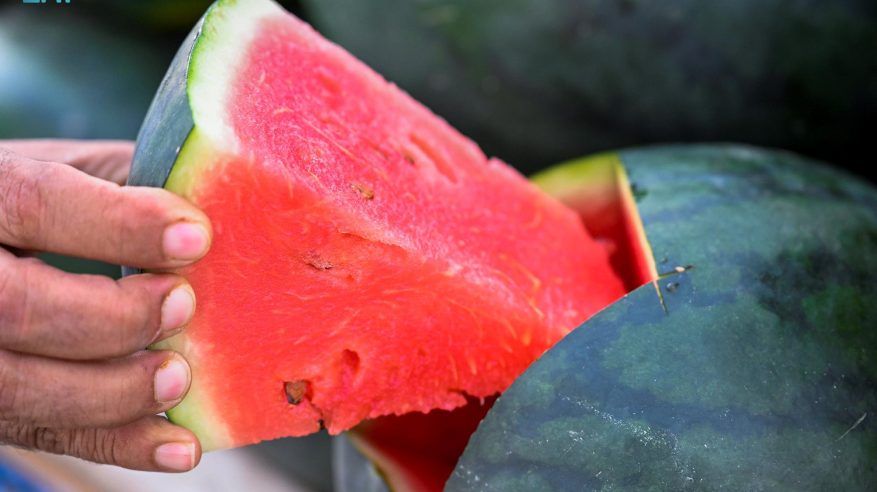 أسعار الحبحب في جازان تصل 30 ريالًا للحبة