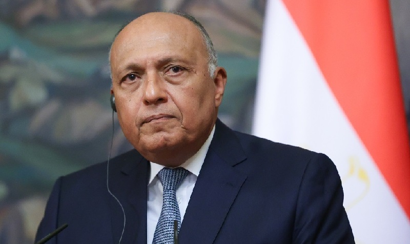 وزير الخارجية المصري لإثيوبيا: سنحمي حقوقنا المائية