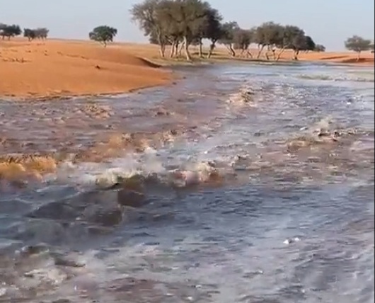 لقطات لجريان السيول في شعيب الأعصل بالمجمعة