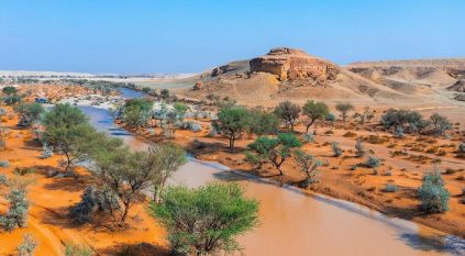 انضمام محمية الملك عبدالعزيز لقاعدة بيانات المحميات الطبيعية العالمية