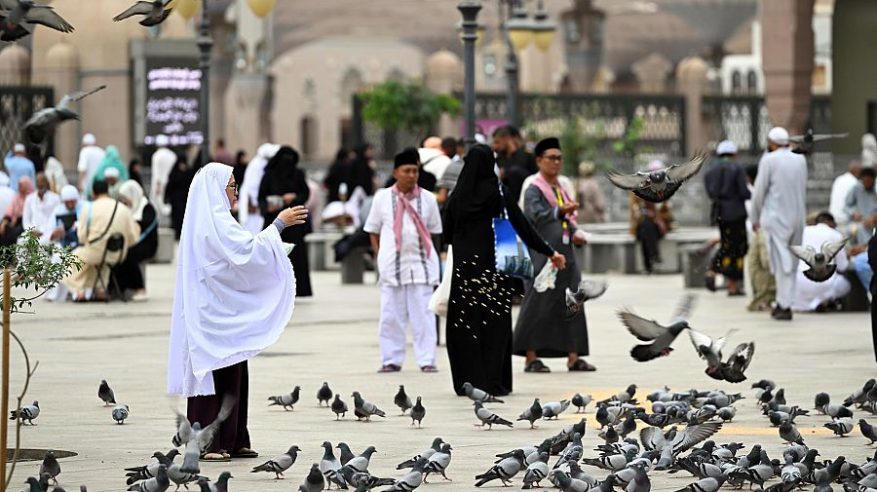 جهود كبيرة لوزارة الحج لخدمة ضيوف الرحمن في المدينة المنورة