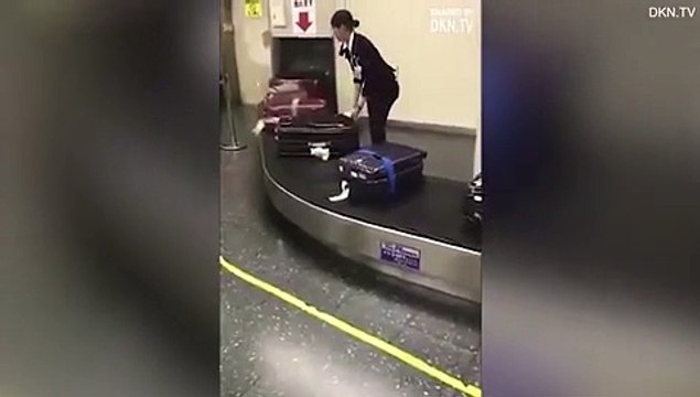 تعامل راقٍ من موظفي اليابان مع حقائب المسافرين 