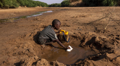 الجفاف يقتل 43 ألف صومالي في 2022