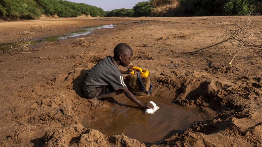 الجفاف يقتل 43 ألف صومالي في 2022