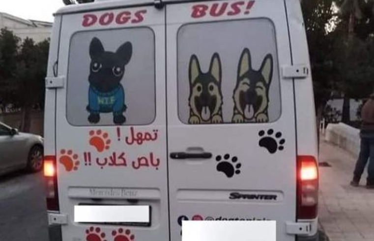 حضانة لخدمة ورعاية الكلاب بالأردن خوفًا عليها من الاكتئاب
