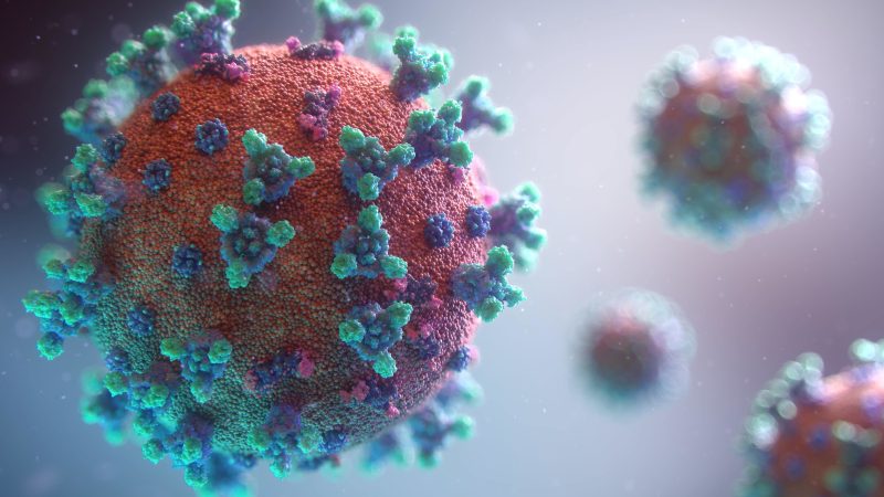 خبراء يحذرون من فيروس جديد يظهر من بريطانيا