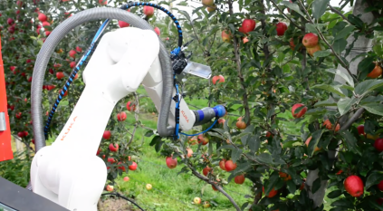 روبوتات لحصد المحاصيل ونقلها ذاتيًّا