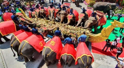 موائد من الفاكهة والخضراوات لتكريم الفيل بيومه الوطني بتايلاند
