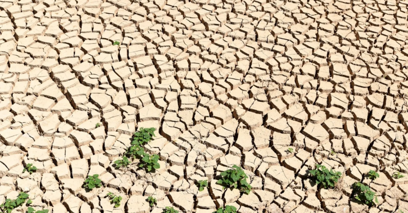 تحديد حصص للمياه في تونس بسبب الجفاف