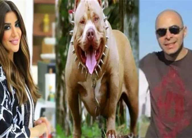 مدير بنك يدخل بغيبوبة بسبب عضة كلب تملكه مذيعة مصرية شهيرة