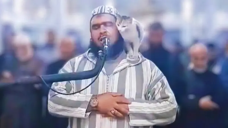 إمام يروي تفاصيل فيديو القطة بعدما خطف قلوب العالم