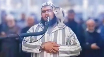 إشاعة جديدة تطال الشيخ الجزائري صاحب القطة