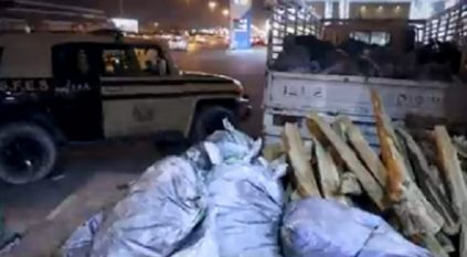 ضبط 133 مخالفًا لنظام البيئة خلال أسبوع بعدة مناطق