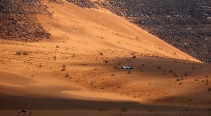 العثور على مفقود محمية الطبيق بصحة جيدة