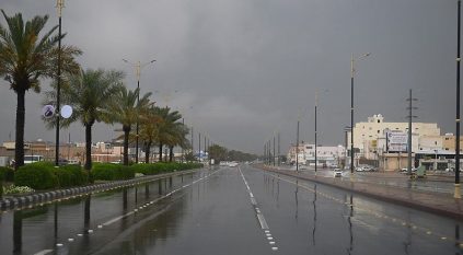 أمطار رعدية غزيرة وبرد وسيول على 9 مناطق