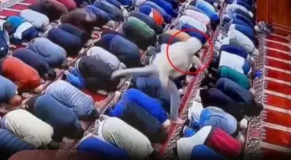 إمام مسجد في أمريكا يتعرض للطعن أثناء الصلاة