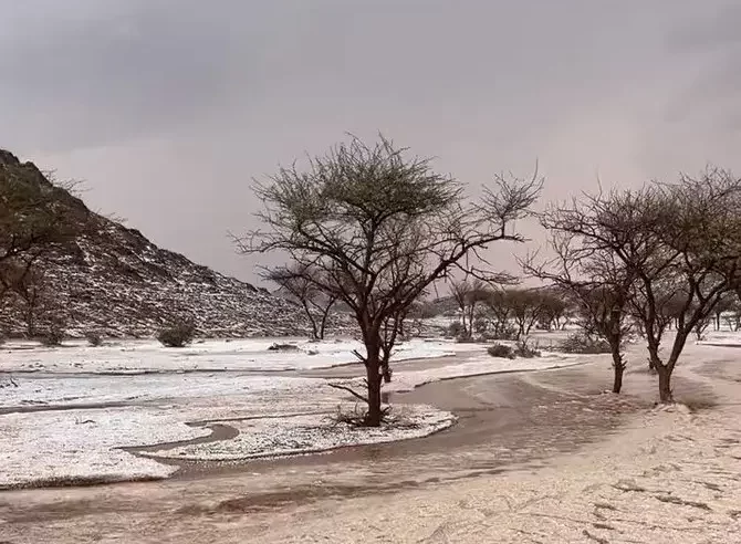 خرجوا للتنزه بحائل والسيل داهم خيمتهم