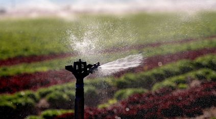 ولاية أريزونا تلغي تصاريح حفر بئري مياه لمزرعة سعودية بسبب الجفاف