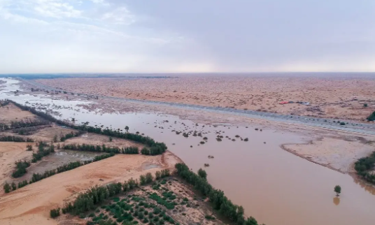 وادي الرمة لوحة جمالية طبيعية تستهوي الأهالي بالقصيم