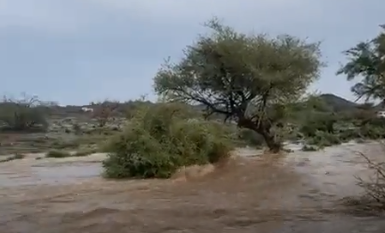 لقطات لجريان السيول في الباحة