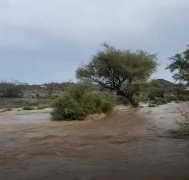 لقطات لجريان السيول في الباحة