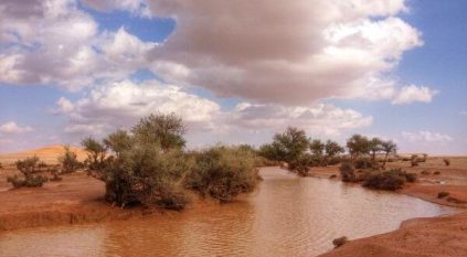 لقطات خلابة لجريان شعيب الشوكي بعد أمطار الرياض