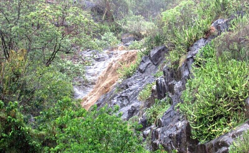 أمطار جازان تضفي جمالًا على جبال فيفاء