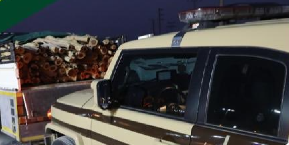 ضبط سودانيين لنقلهما الحطب المحلي بالمدينة المنورة