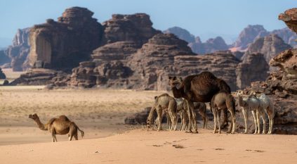 صحراء حسمى جمال لا يقاوم برمالها الحمراء وتكويناتها الصخرية