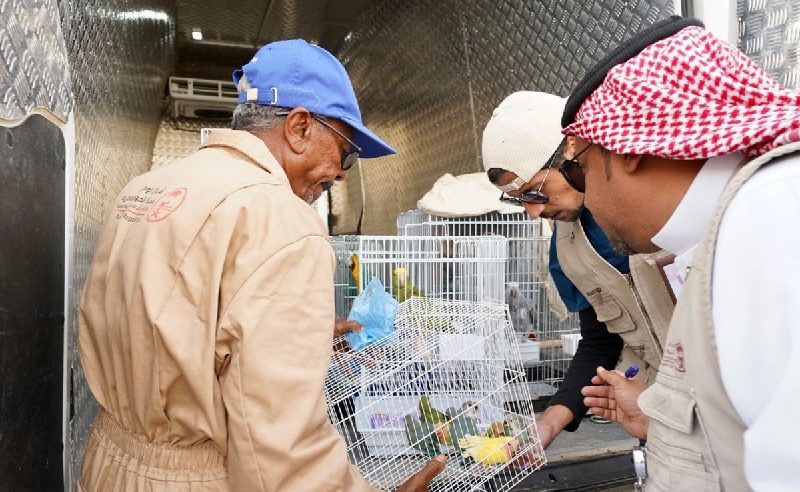 ضبط مخالفين لنظام البيئة بسوق العزيزية للطيور