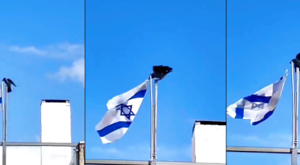 غراب ينتزع علم إسرائيل ويمزقه من فوق إحدى المستوطنات