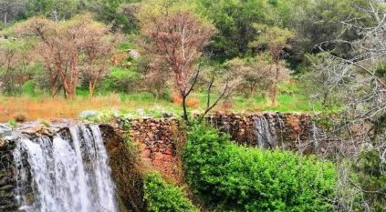 مشاهد خلابة لتدفق شلالات دوس بالباحة