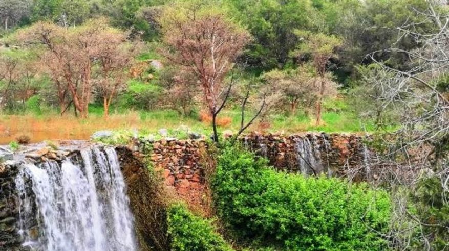 مشاهد خلابة لتدفق شلالات دوس بالباحة