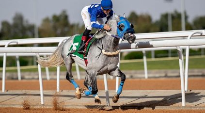 سباقات الخيل ينظم الحفل الرابع لموسم سباقات الطائف 2023‪