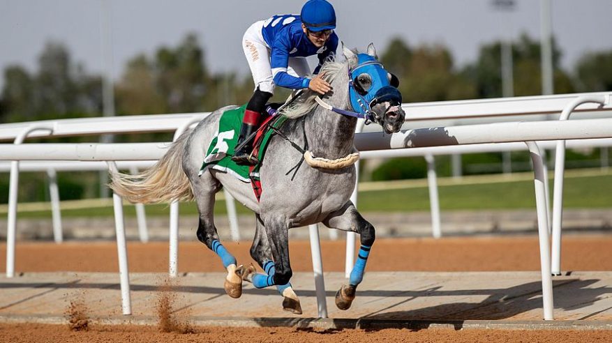 سباقات الخيل ينظم الحفل الرابع لموسم سباقات الطائف 2023‪